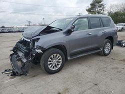 2023 Lexus GX 460 for sale in Lexington, KY