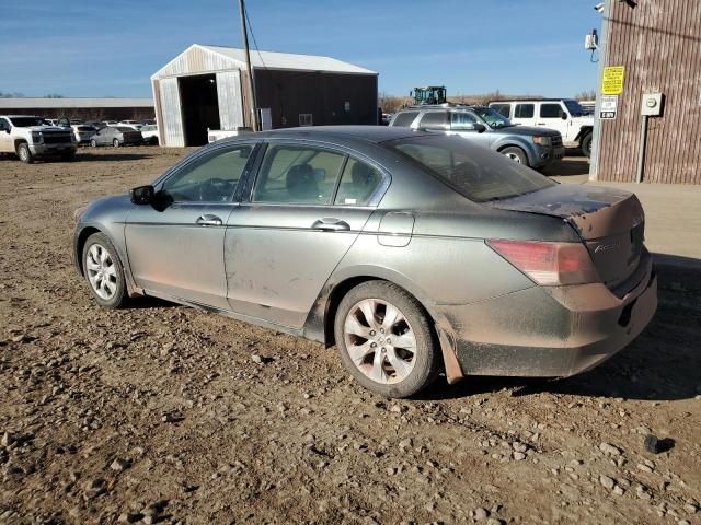 2008 Honda Accord EXL