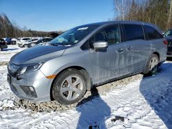 2019 Honda Odyssey EXL en venta en Candia, NH
