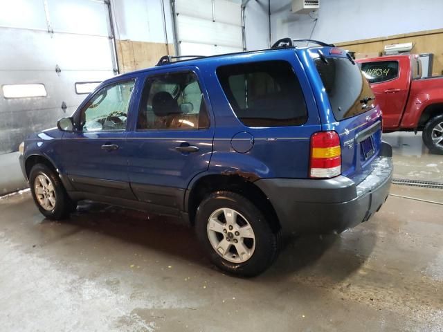 2007 Ford Escape XLT