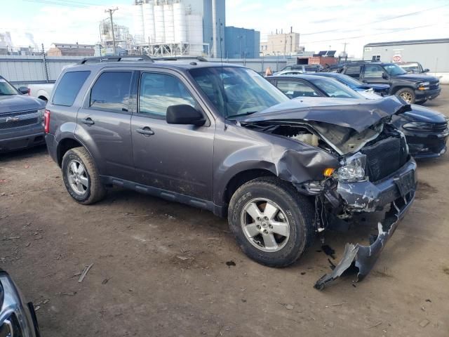 2011 Ford Escape XLT