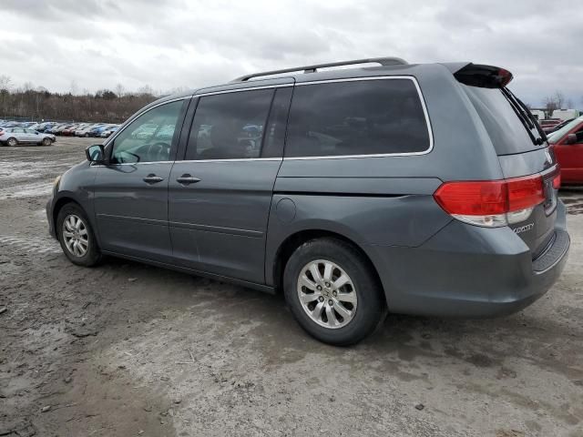 2010 Honda Odyssey EXL