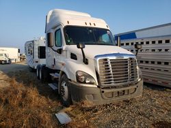 Salvage cars for sale from Copart Cicero, IN: 2017 Freightliner Cascadia 113