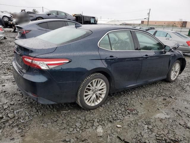 2019 Toyota Camry Hybrid