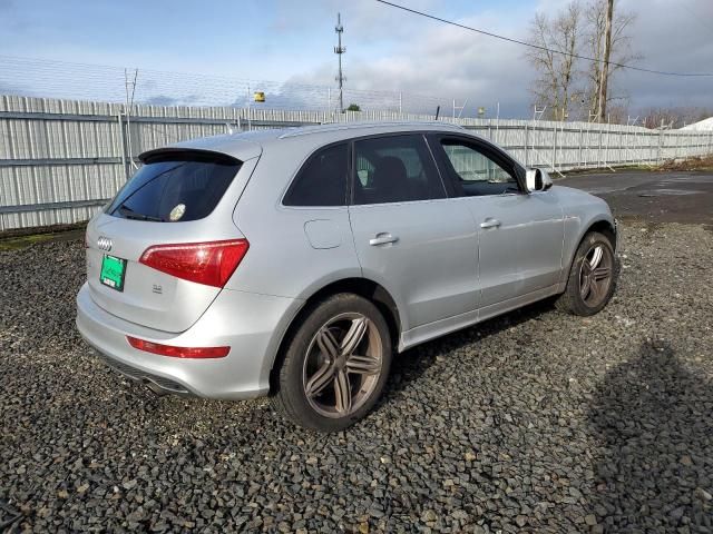 2010 Audi Q5 Premium Plus