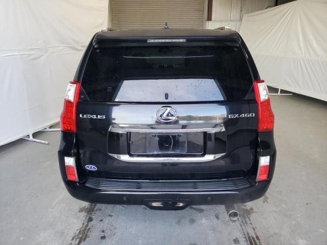 2010 Lexus GX 460