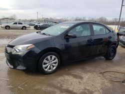 2014 Toyota Corolla L for sale in Louisville, KY