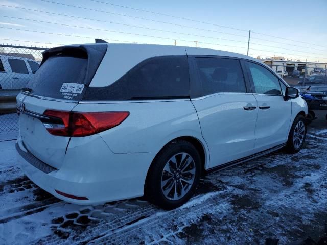 2022 Honda Odyssey EXL