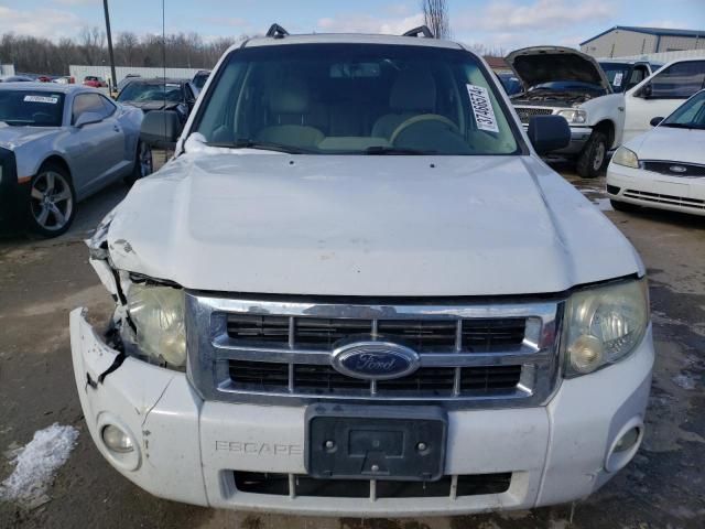 2008 Ford Escape XLT