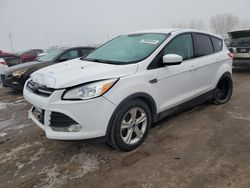 2015 Ford Escape SE for sale in Greenwood, NE