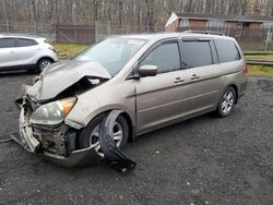 Honda Odyssey salvage cars for sale: 2009 Honda Odyssey Touring