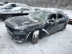 Dodge Charger salvage cars for sale: 2018 Dodge Charger SXT