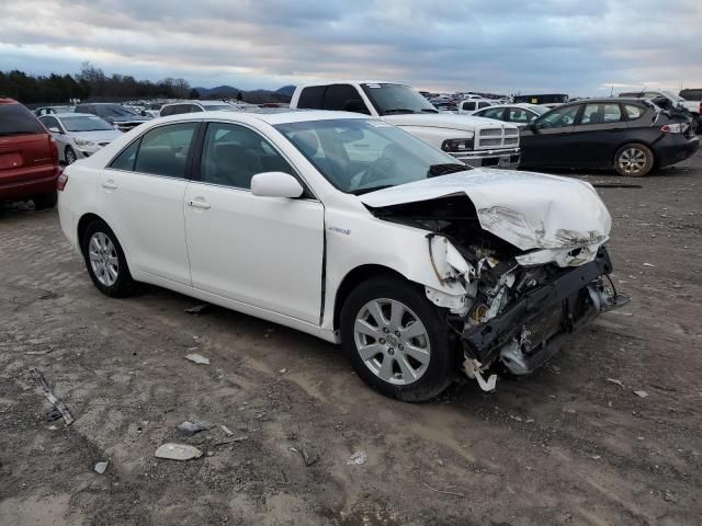 2009 Toyota Camry Hybrid