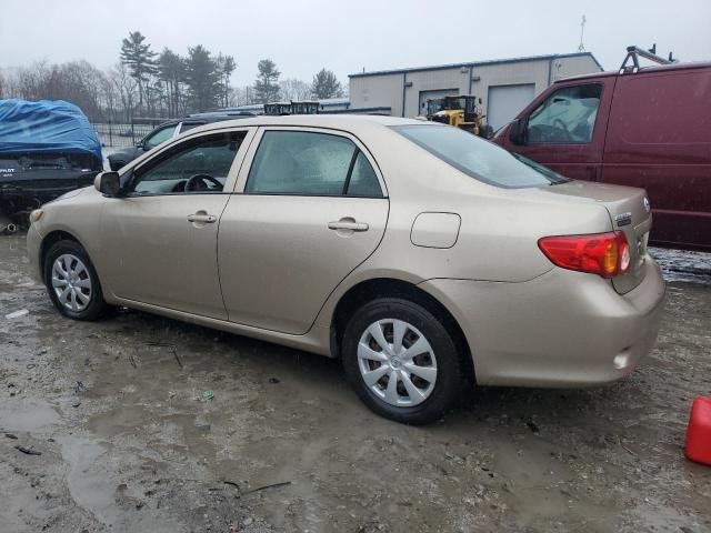 2009 Toyota Corolla Base