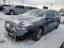 Hyundai Sonata Vehiculos salvage en venta: 2019 Hyundai Sonata SE