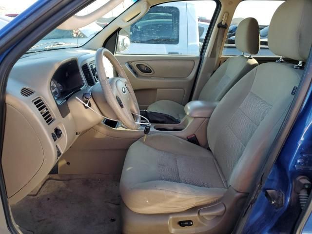 2007 Ford Escape XLT