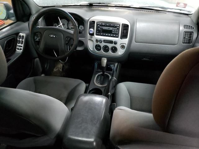 2007 Ford Escape XLT