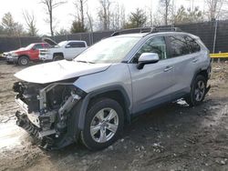 Toyota rav4 xle Vehiculos salvage en venta: 2020 Toyota Rav4 XLE