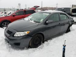 Toyota salvage cars for sale: 2010 Toyota Corolla Base