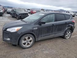 Ford Vehiculos salvage en venta: 2014 Ford Escape SE