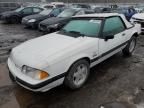 1989 Ford Mustang LX