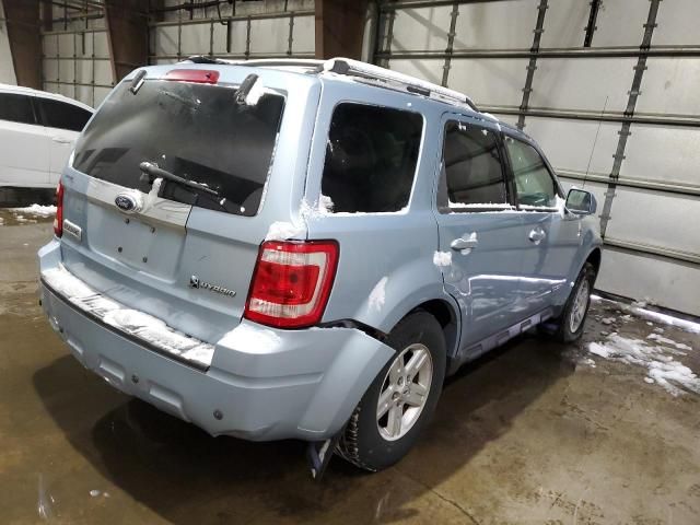 2008 Ford Escape HEV