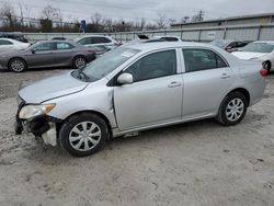 2009 Toyota Corolla Base en venta en Walton, KY