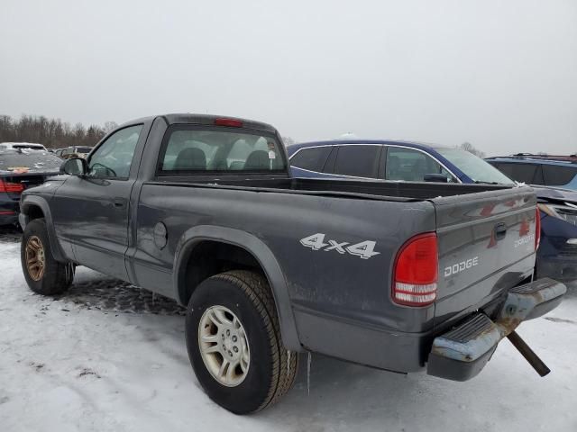 2004 Dodge Dakota SXT