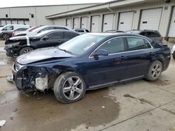 2011 Chevrolet Malibu 1LT en venta en Louisville, KY