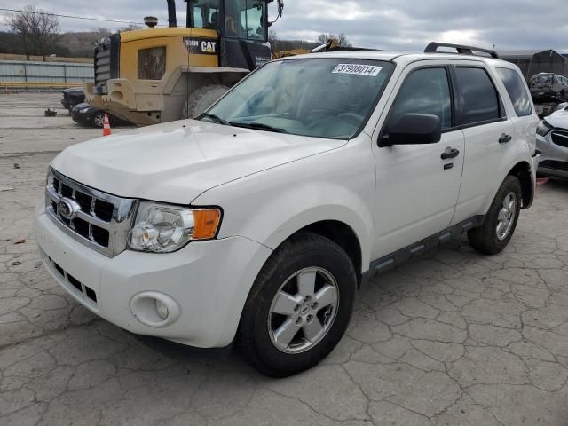 2011 Ford Escape XLT