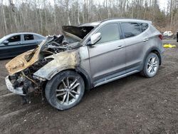 Hyundai salvage cars for sale: 2017 Hyundai Santa FE Sport