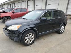 Honda salvage cars for sale: 2007 Honda CR-V EXL