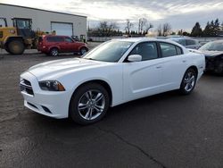 Dodge Charger salvage cars for sale: 2013 Dodge Charger SXT