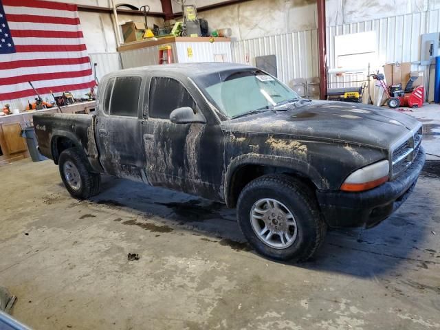 2003 Dodge Dakota Quad SLT