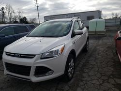 Ford Escape Titanium salvage cars for sale: 2014 Ford Escape Titanium