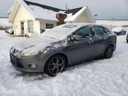 Salvage cars for sale from Copart Northfield, OH: 2014 Ford Focus SE