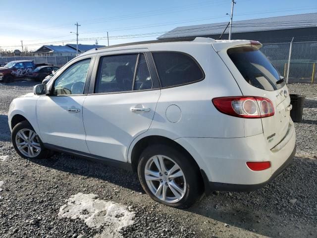 2010 Hyundai Santa FE SE