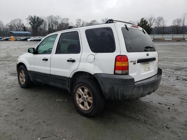 2005 Ford Escape XLT