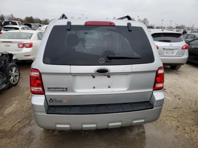 2008 Ford Escape XLT