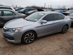 Honda Accord EX salvage cars for sale: 2017 Honda Accord EX