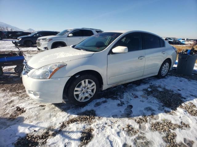 2010 Nissan Altima Base