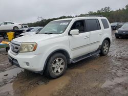 Honda Pilot salvage cars for sale: 2009 Honda Pilot Touring