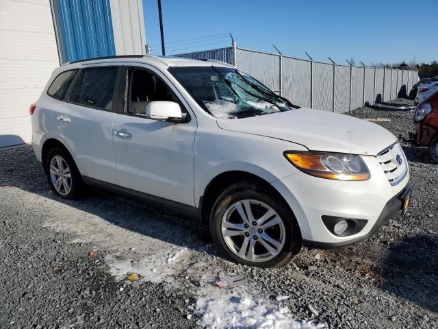 2010 Hyundai Santa FE SE