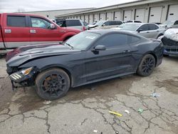 2016 Ford Mustang GT for sale in Louisville, KY