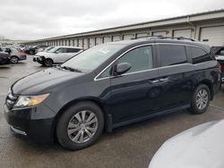 Honda salvage cars for sale: 2014 Honda Odyssey EXL