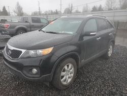 KIA salvage cars for sale: 2013 KIA Sorento LX