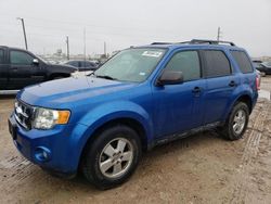 Salvage cars for sale from Copart Temple, TX: 2011 Ford Escape XLT