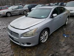 Nissan Maxima s Vehiculos salvage en venta: 2009 Nissan Maxima S