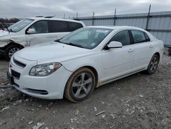 Chevrolet Vehiculos salvage en venta: 2011 Chevrolet Malibu 1LT