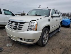 Cadillac Escalade salvage cars for sale: 2011 Cadillac Escalade Premium